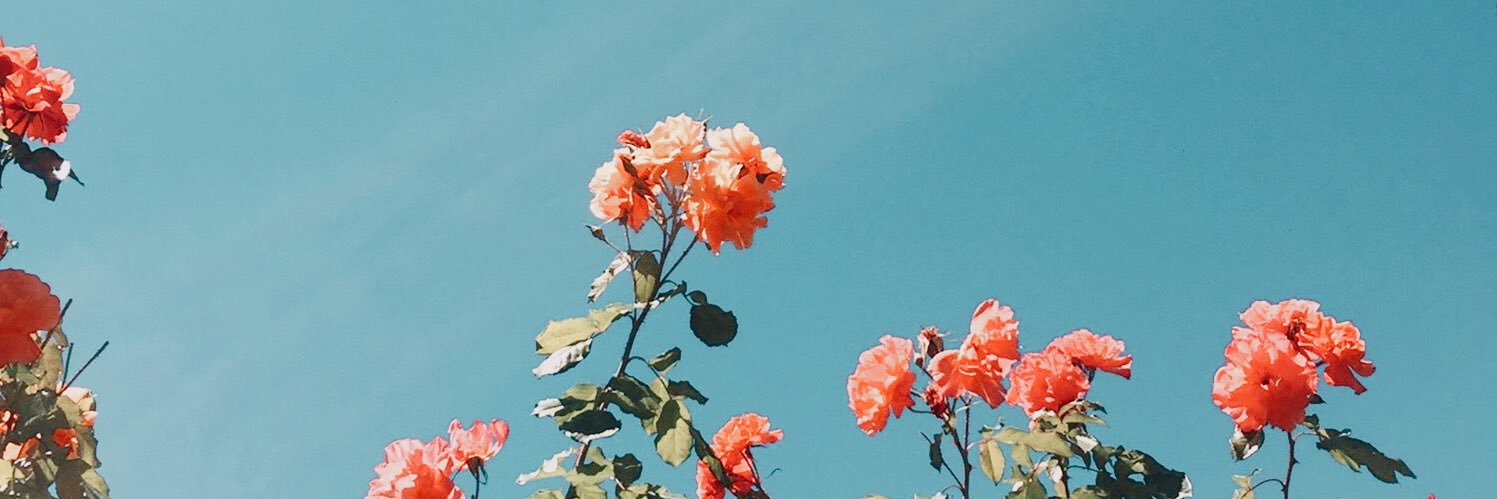 getawaycarss's profile banner image