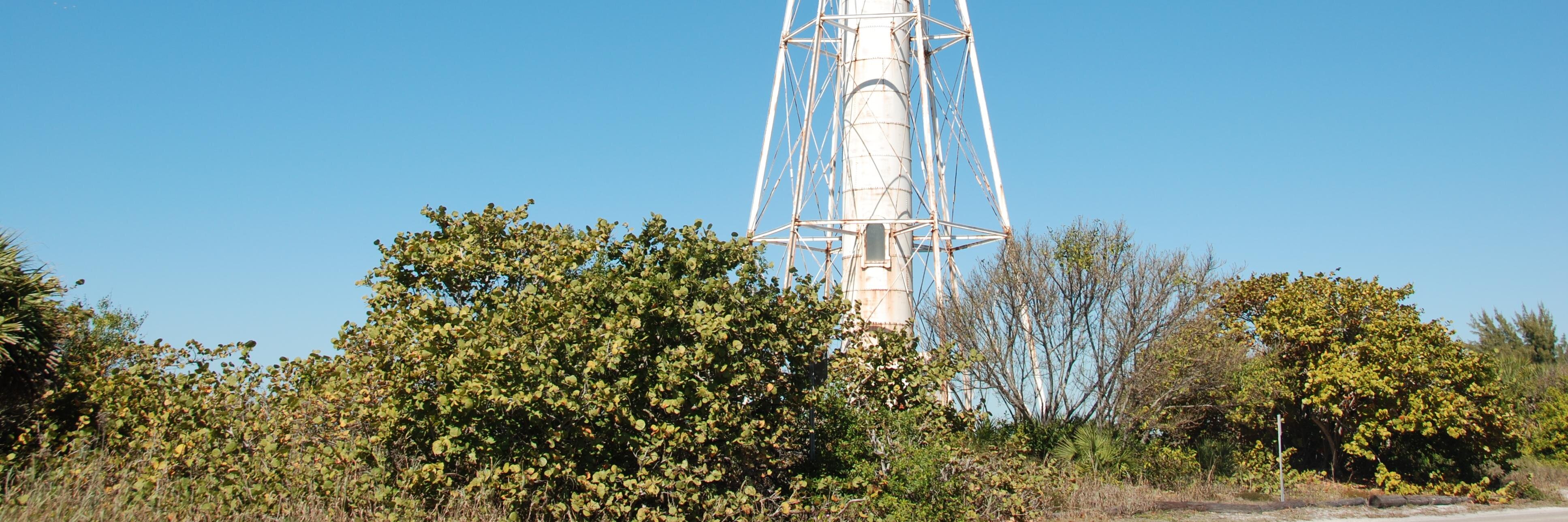 Christine Shepard banner