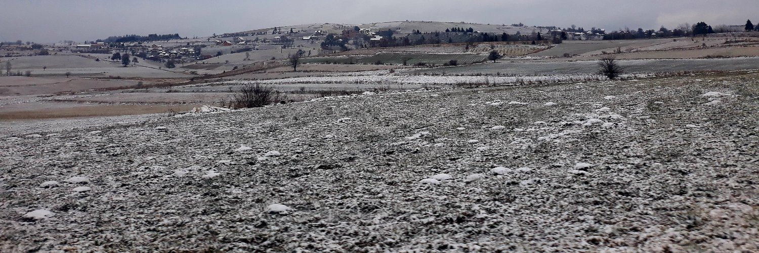 Srećko Gujaničić banner