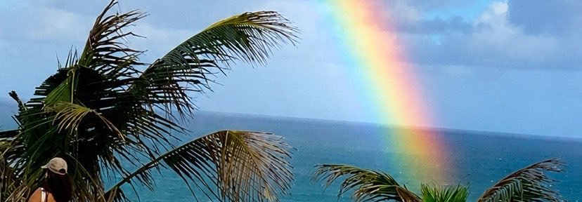 emmerson_lima's profile banner image