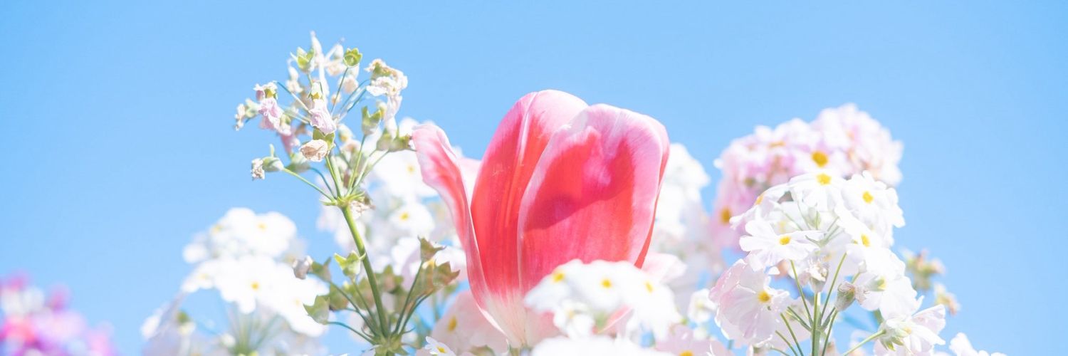 ShelbyChan87's profile banner image