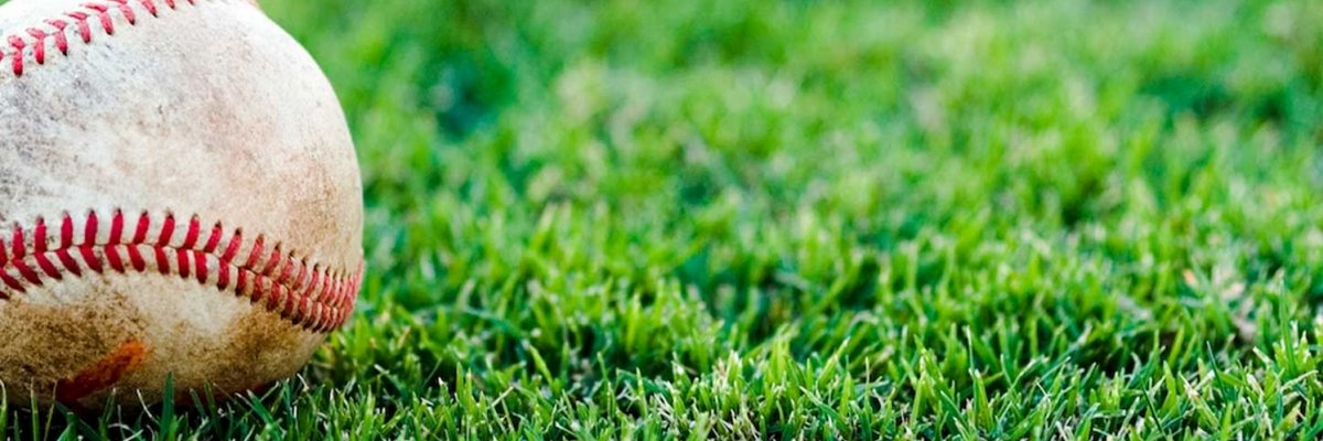 RoadtoLLWS's profile banner image
