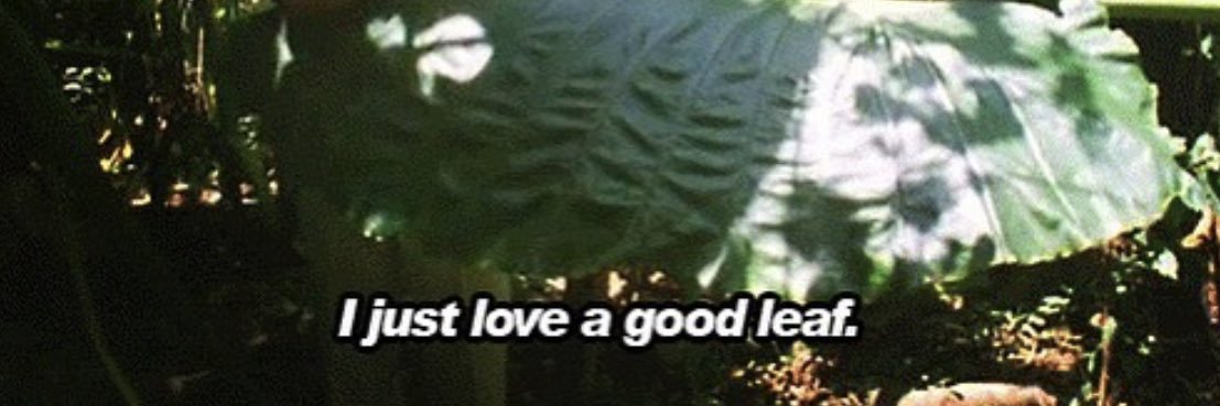 alexells_'s profile banner image