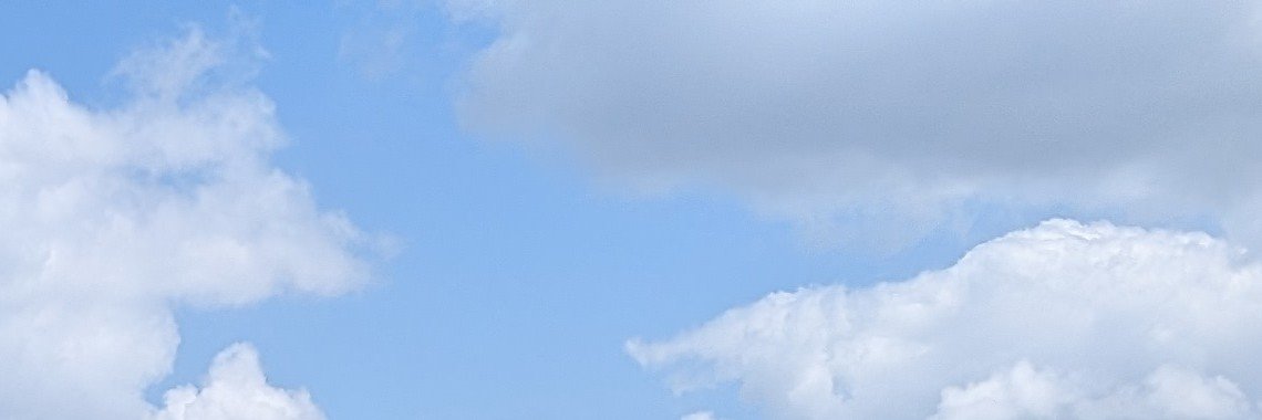 tapibiro's profile banner image