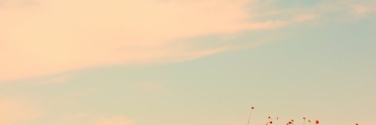 romgromoff's profile banner image