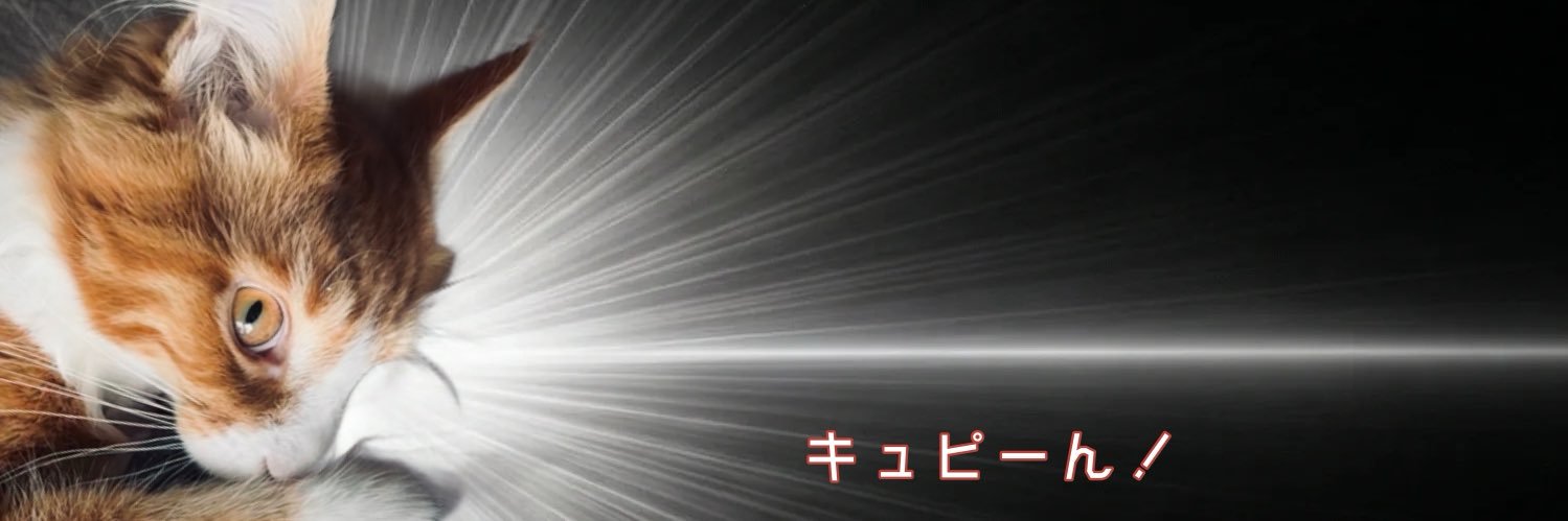 お̊̈たま @DPFP banner