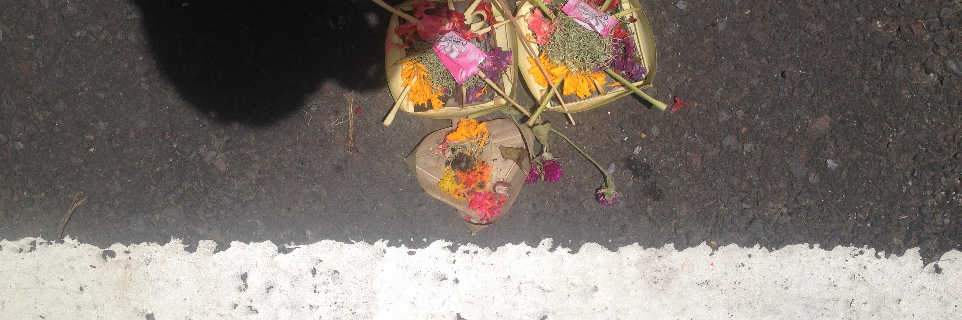 Surabhi Chopra banner