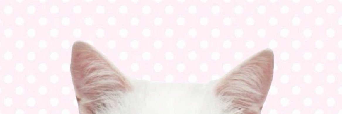 babebiebeb's profile banner image