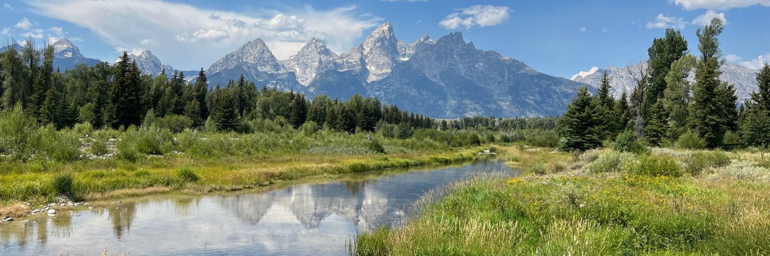 Dee Dee May 🌲 banner