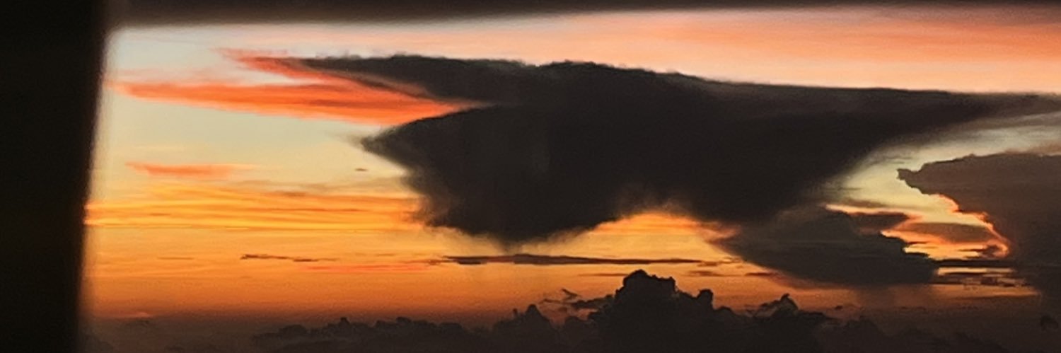 todttn's profile banner image