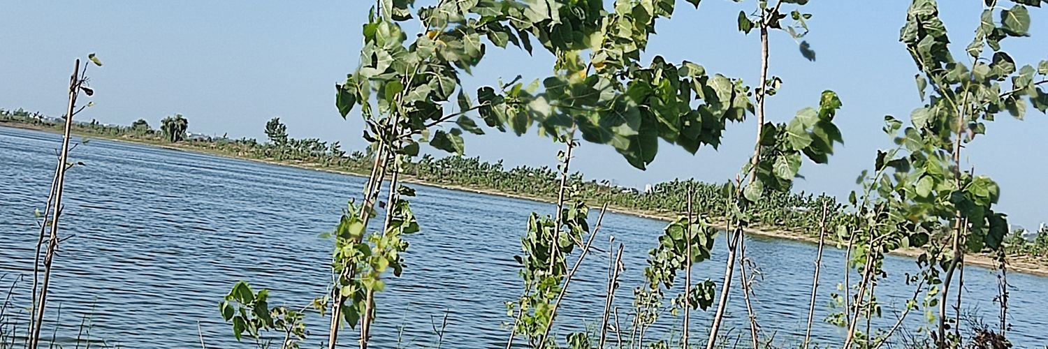 ام کمیل's banner