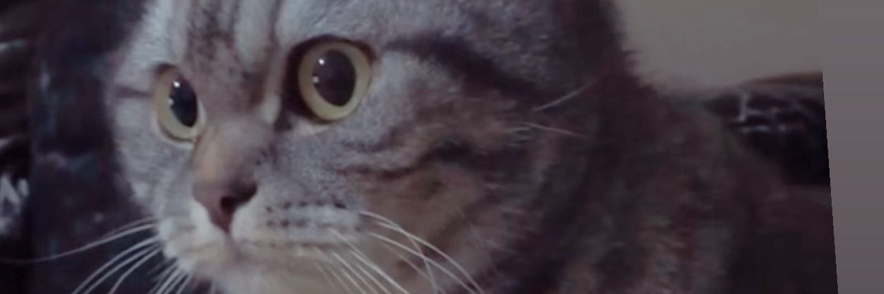 Kocoglu6142's profile banner image