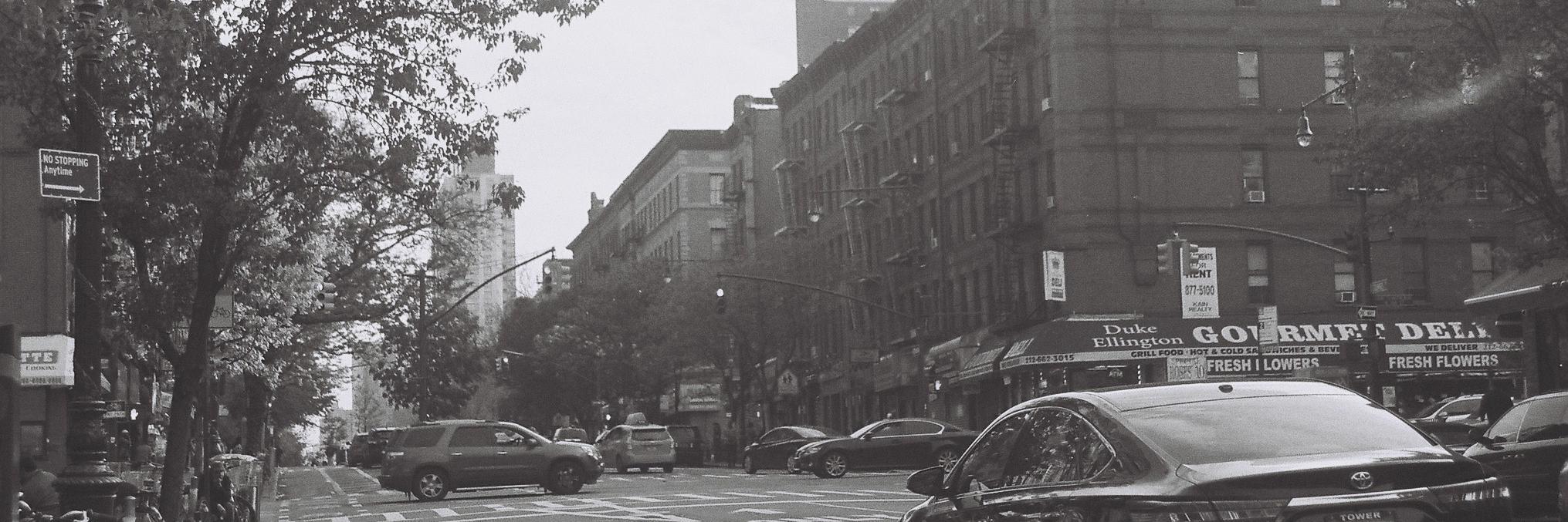 Alejandra Pintos banner