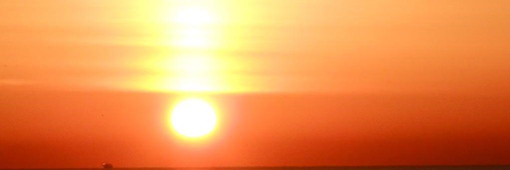 vicentemaycas's profile banner image