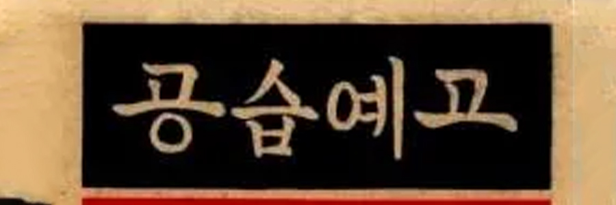 삐라 banner