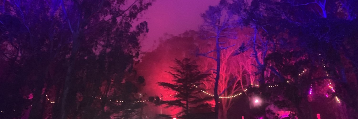 suutuli's profile banner image