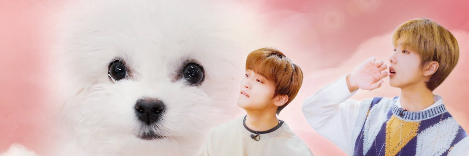 haechanpretty's profile banner image