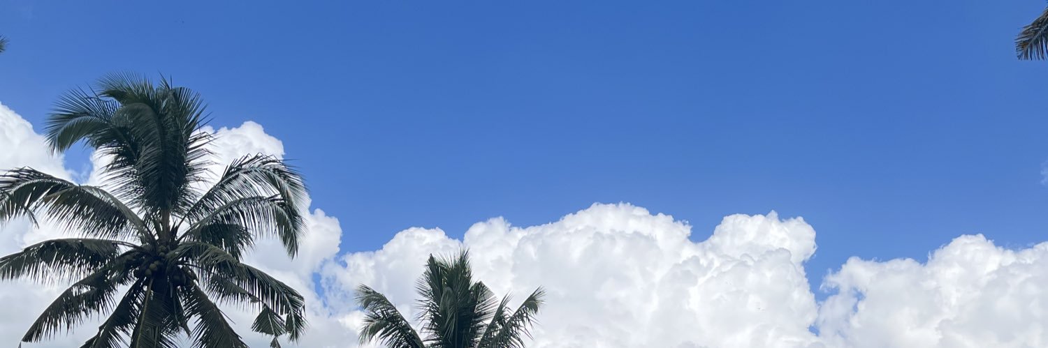 voksui 26 banner