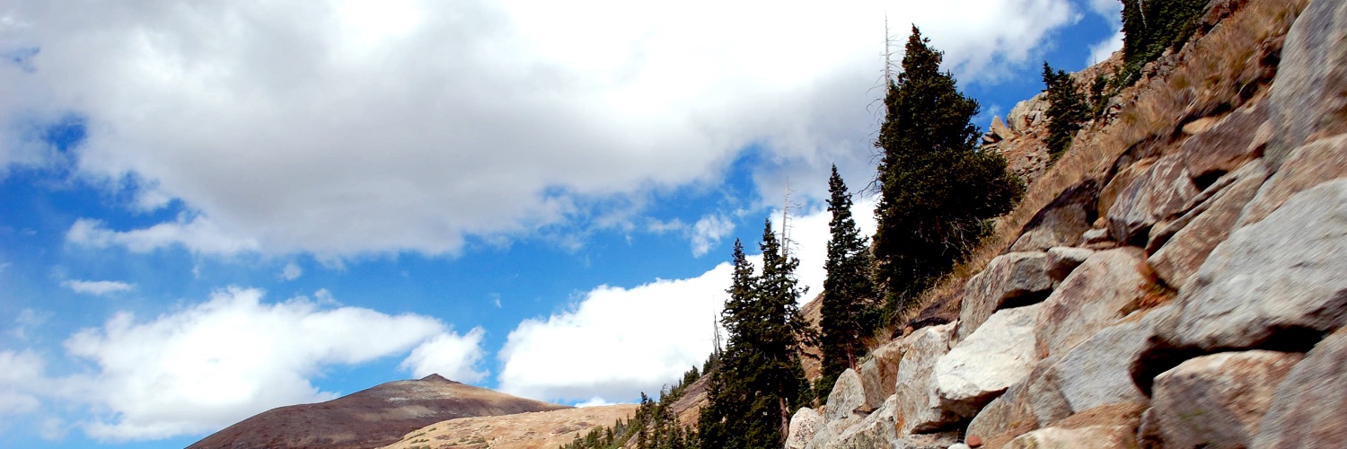 RealtorTown's profile banner image