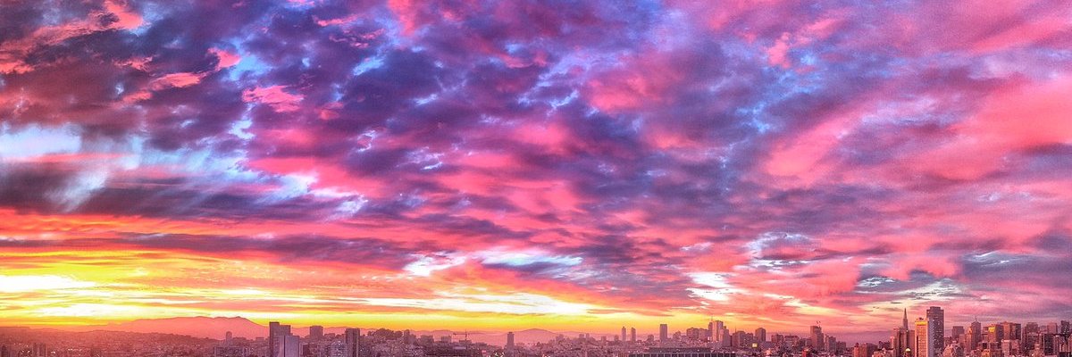 ninja_jane's profile banner image