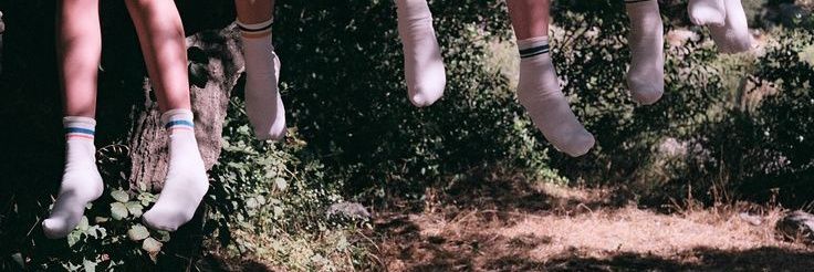 Scoutmaster Carmine banner