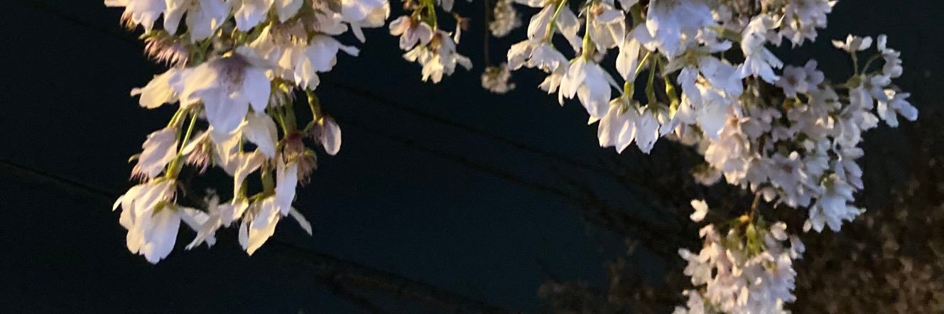 re___miy's profile banner image
