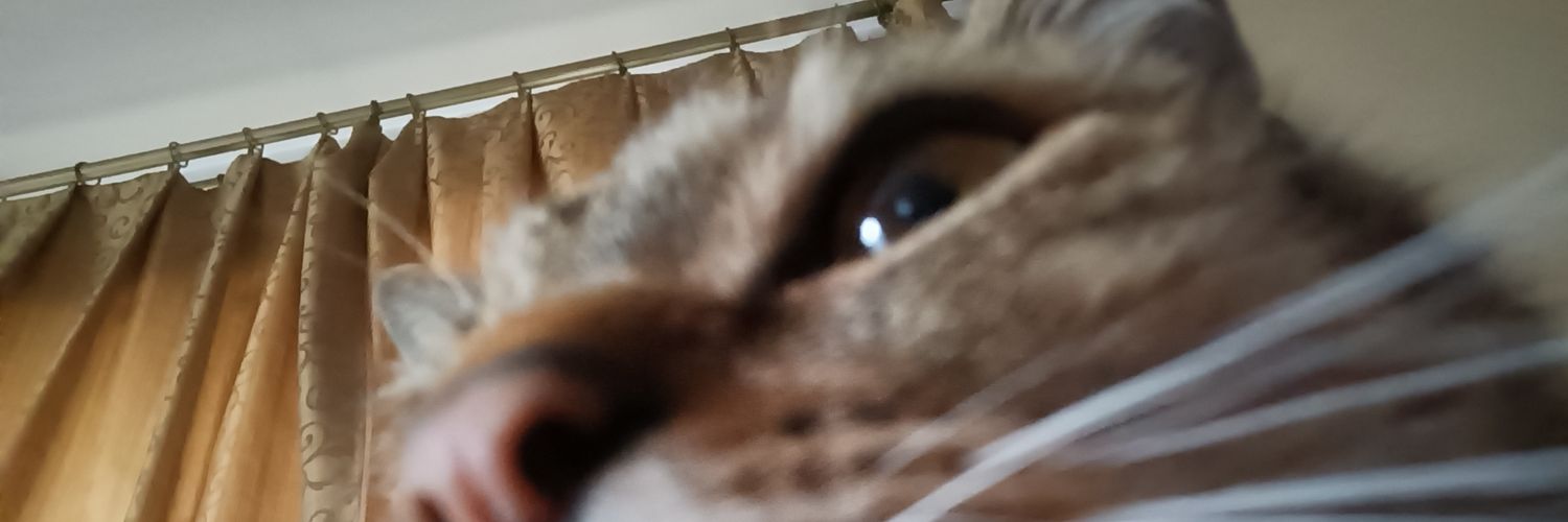 Apaczek 🍋 banner