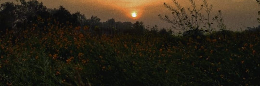 Dr Miswar Jamal Malkani banner