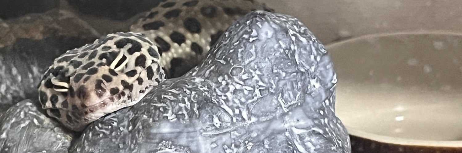 kms_tikb's profile banner image