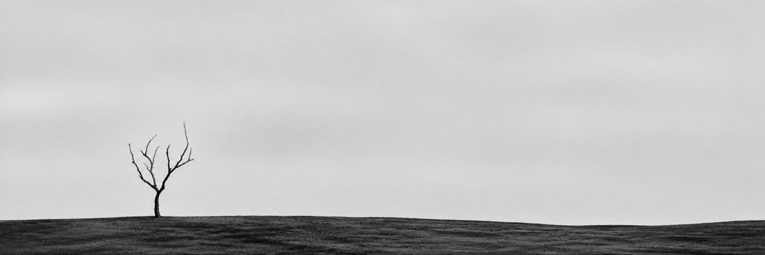 podraseef's profile banner image