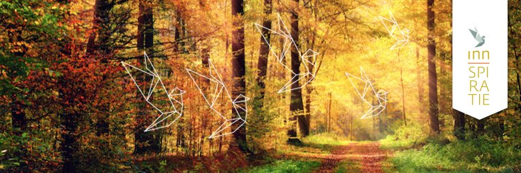 Inn_spiratie's profile banner image