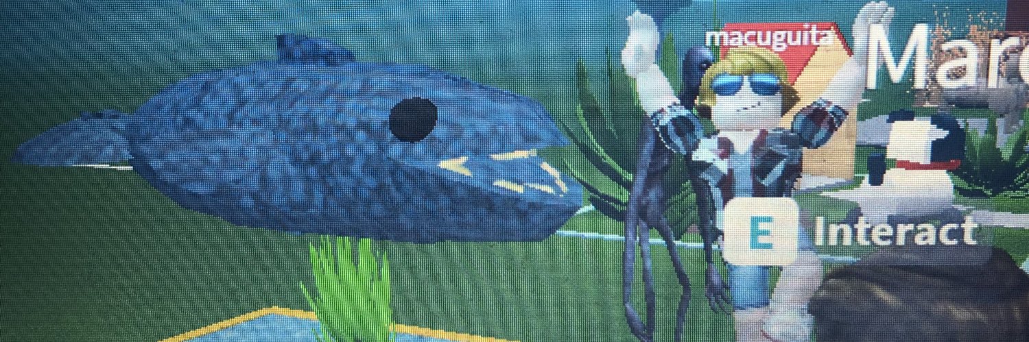 dylan kennedy banner