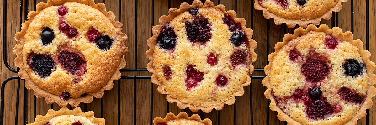plantocook's profile banner image