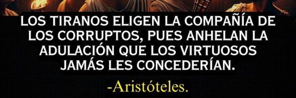 yayorossi1 Profile Banner