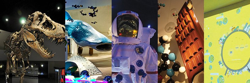 themindmuseum's profile banner image