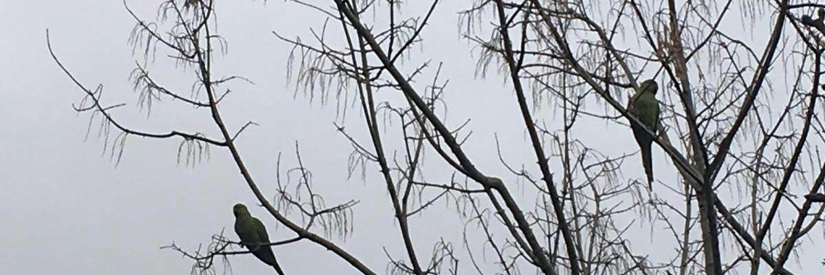 HCA_6's profile banner image