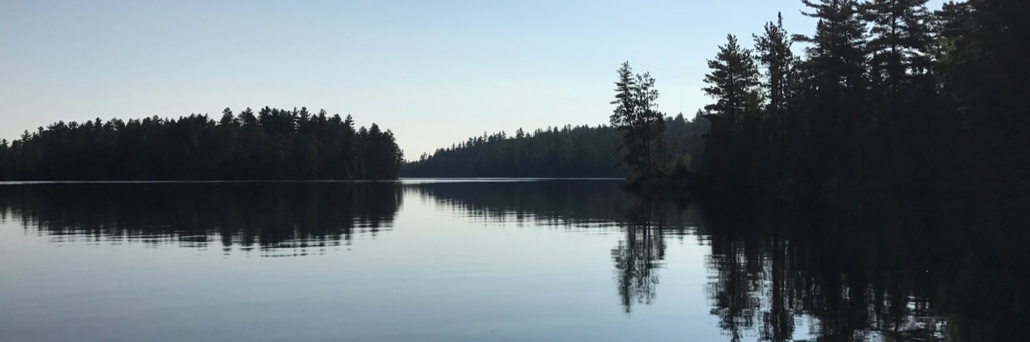 Roynon's profile banner image