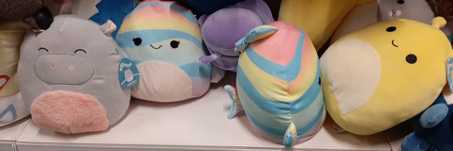 Belgian_FELLA banner