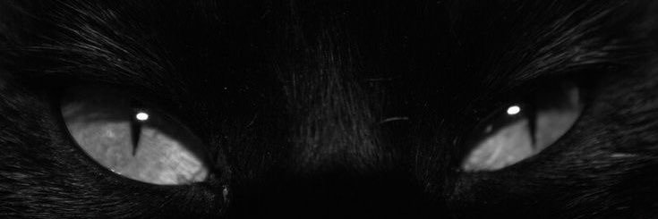 in my own world! / parody acc banner