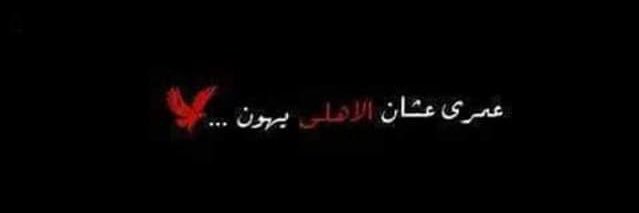 🦋 banner