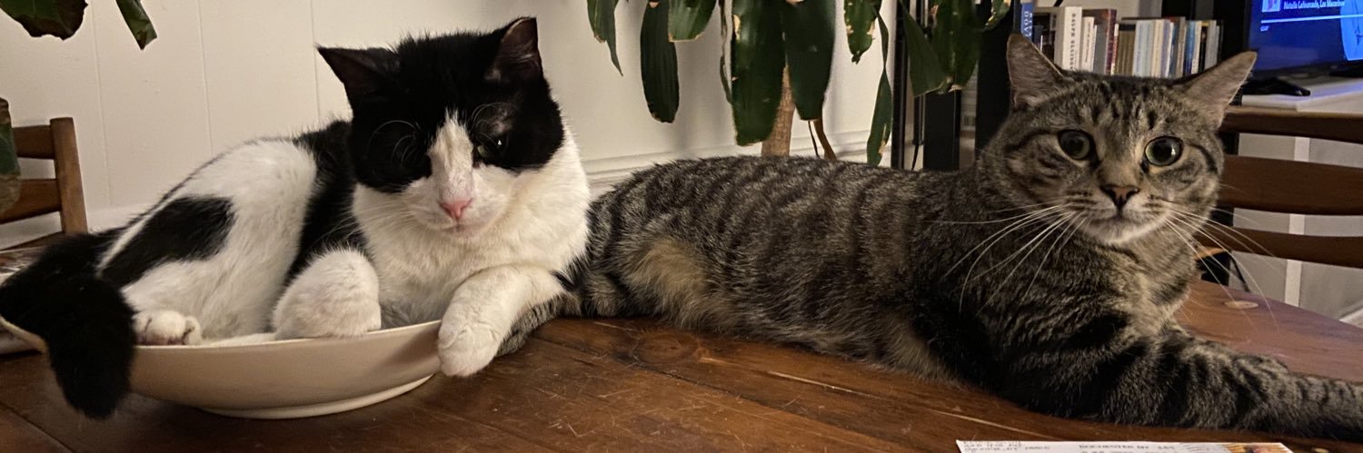 Sancho (and Polina) banner