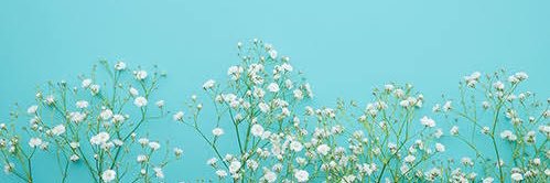 asm__5313's profile banner image