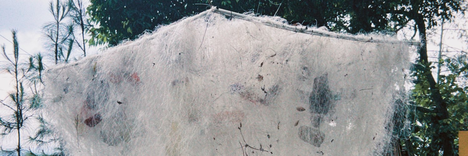 yrbearr's profile banner image