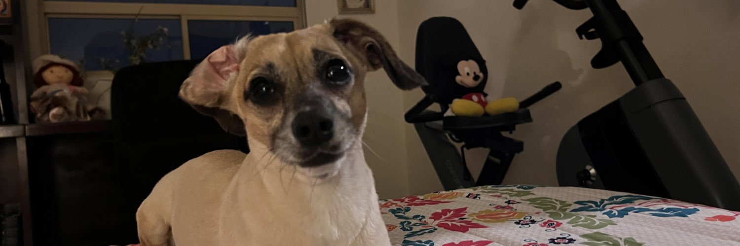 fernandafikir's profile banner image