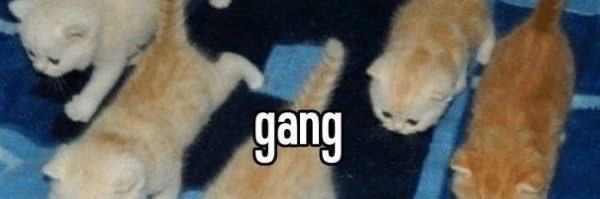 tatym_'s profile banner image