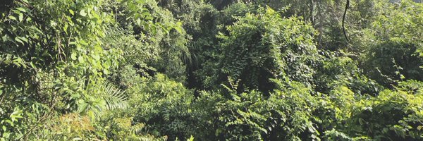 RollingHanny Profile Banner