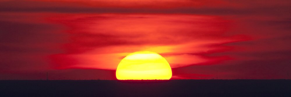 Brother Matthew banner