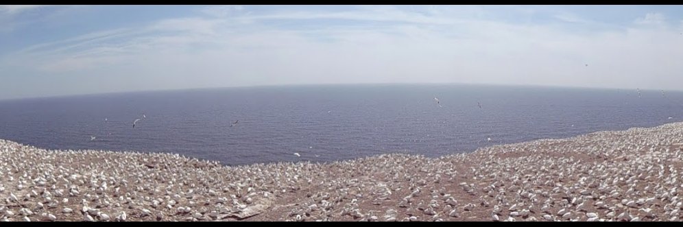 Jean Rodrigue banner