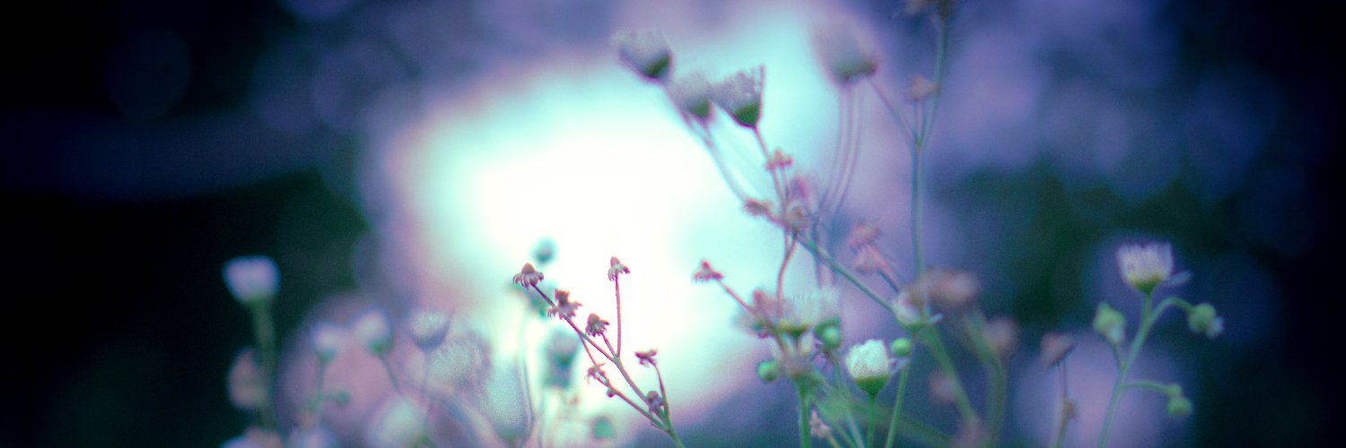 kway_side's profile banner image