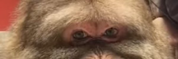 Decay235 Profile Banner
